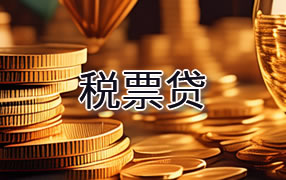 万宁税票贷